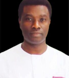 H.E Ambassador Alistair Soyode